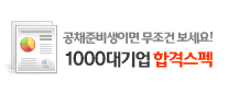 ��ä�غ���̸� ������ ������! 1000���� �հݽ���